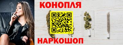 индика Можайск