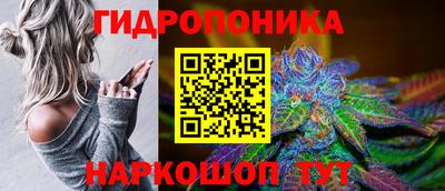 стаф Можга