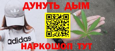 индика Можайск