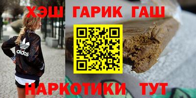 стаф Можга