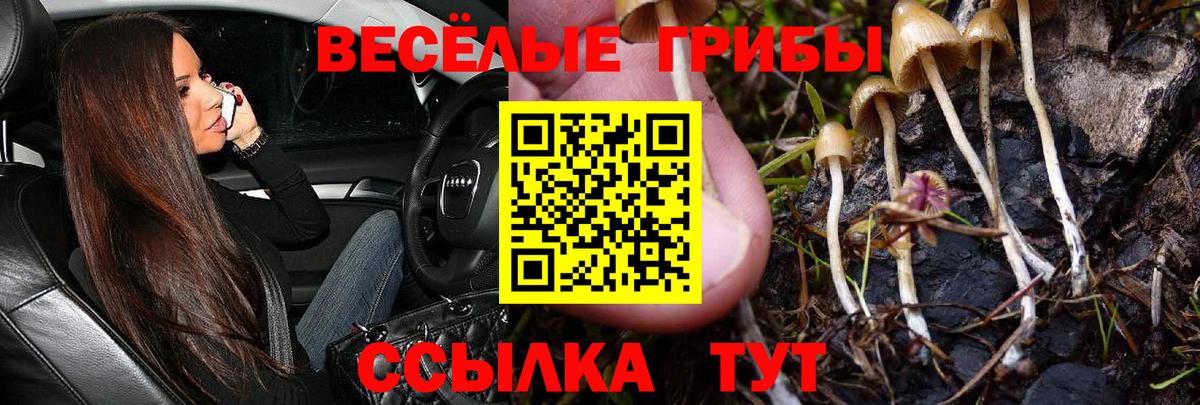 Галлюциногенные грибы Cubensis  Псилоцибиновые грибы мухоморы  Верхняя Салда  Вход с VPN 