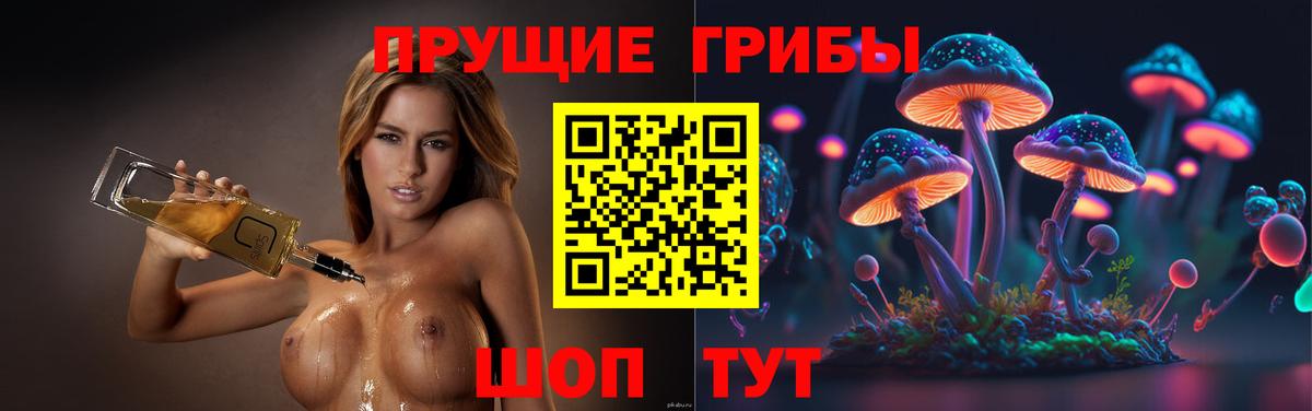 Галлюциногенные грибы Psilocybine cubensis Верхняя Салда