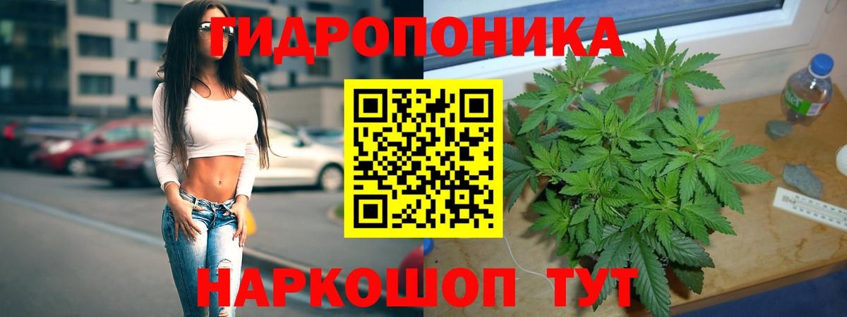 Каннабис планчик Верхняя Салда